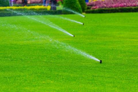 Residential lawn and landscape area for irrigation planning
