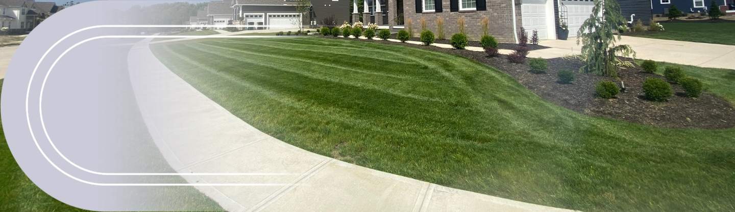 Green maintained lawn and landscape