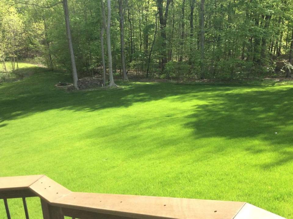 Lawn Installation 1